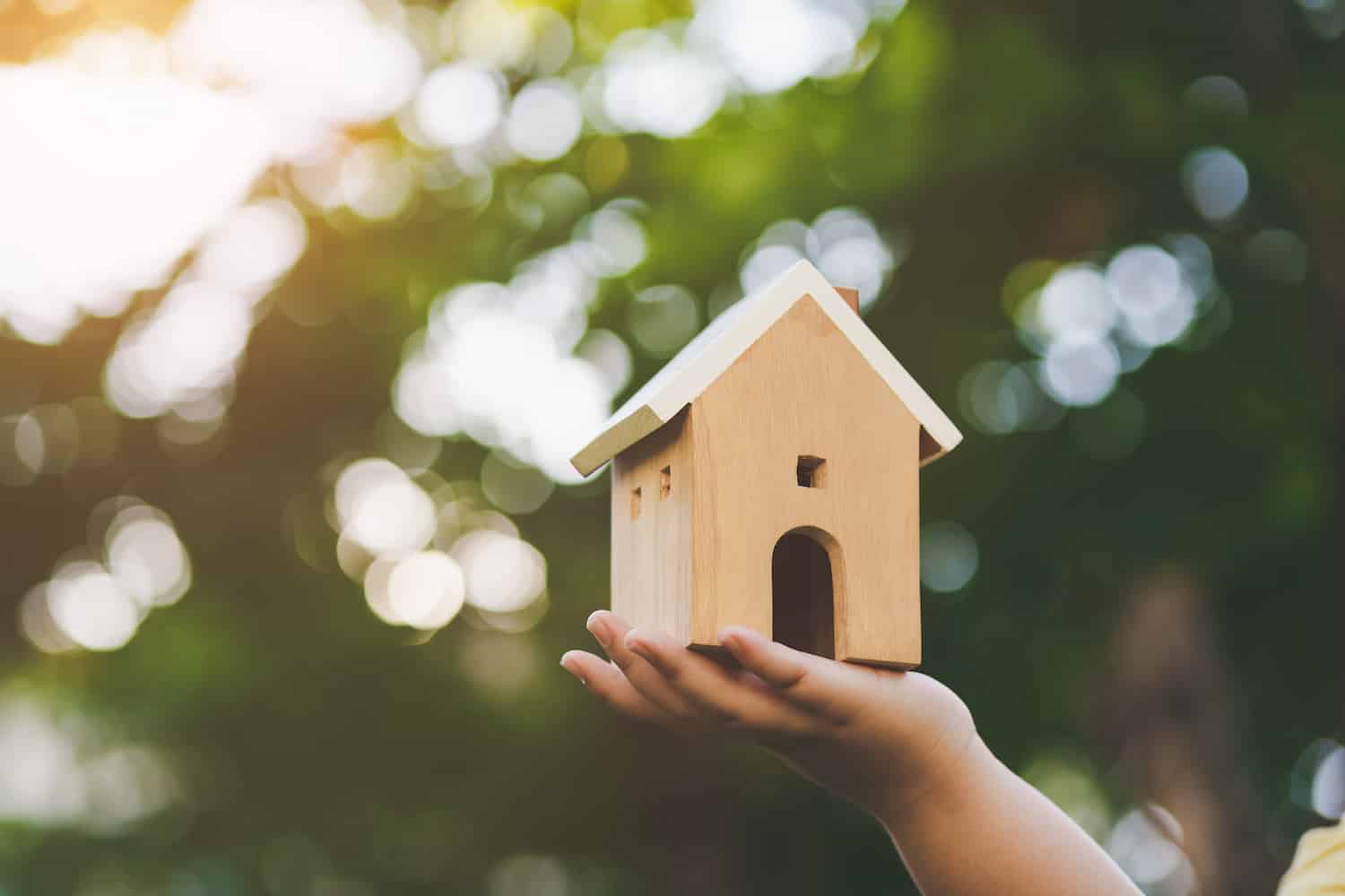how-to-get-rid-of-pmi-early how to get rid of pmi early